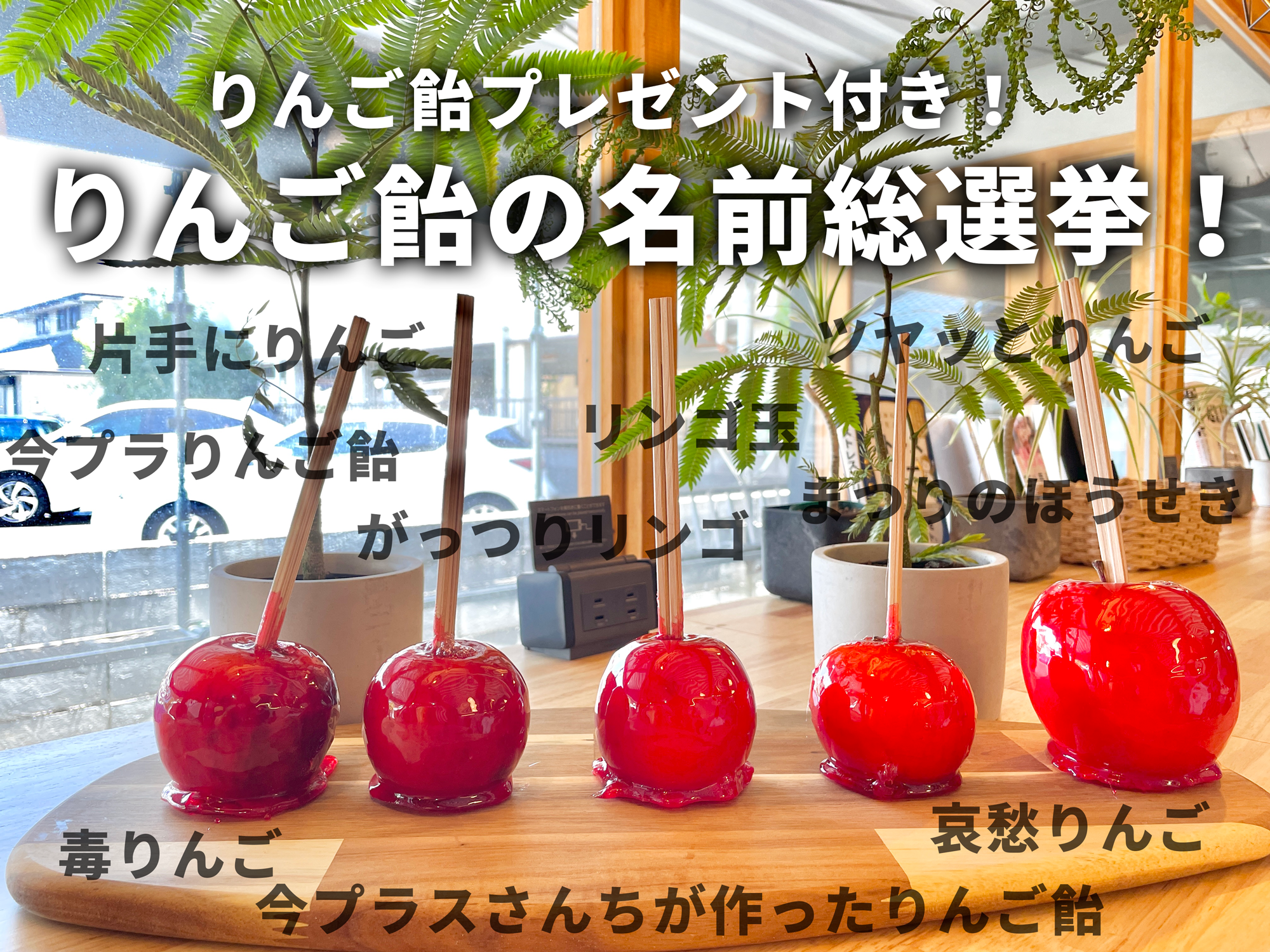 お祭りで出すりんご飴の名前総選挙開催！！｜今プラス 滋賀県のコ